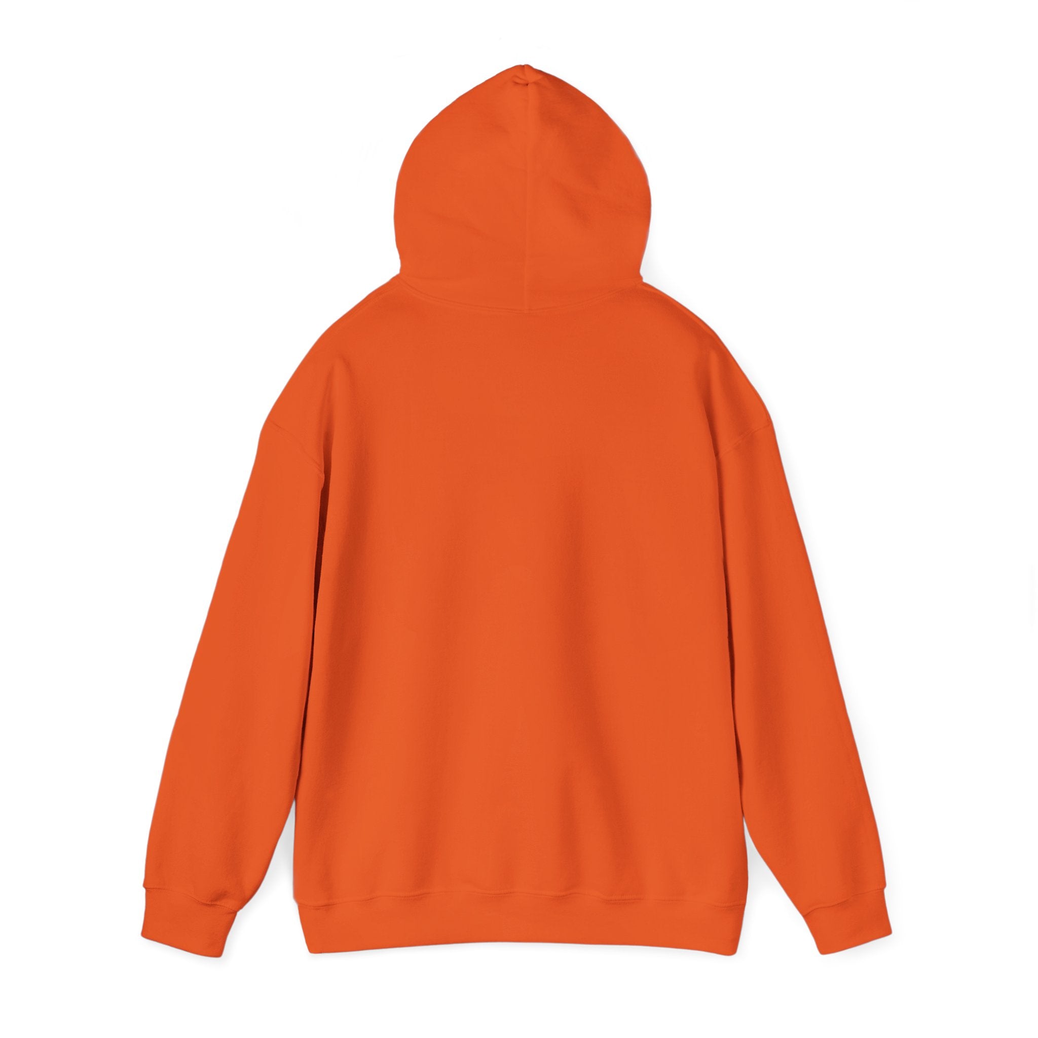 ZOMBIE x ANICHUB PULLOVER