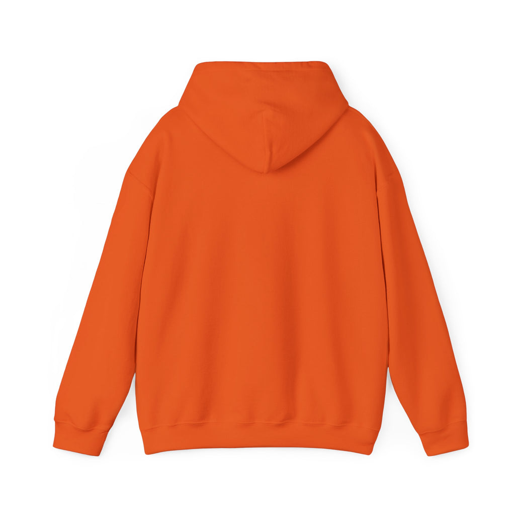 ZOMBIE x ANICHUB PULLOVER