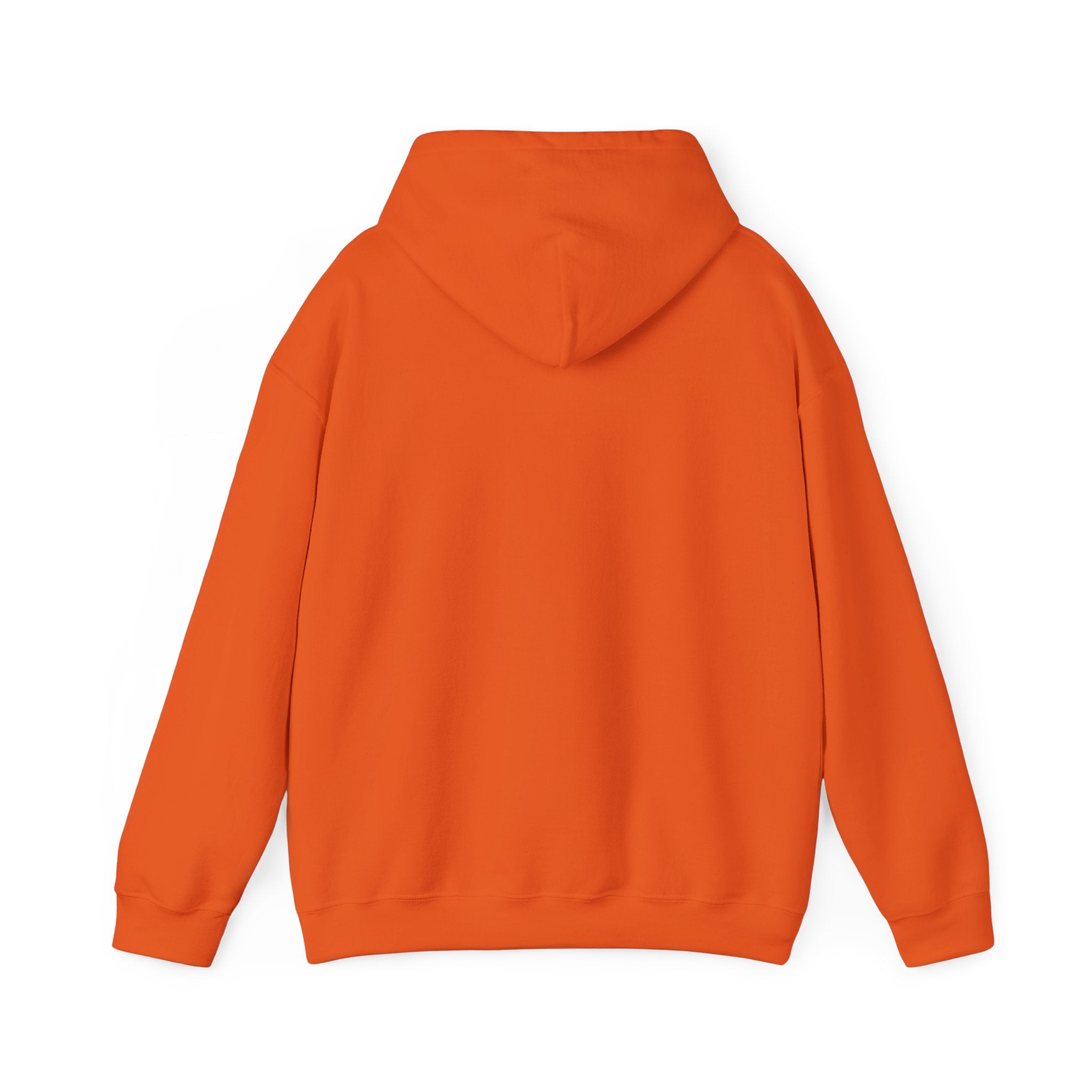 ZOMBIE x ANICHUB PULLOVER