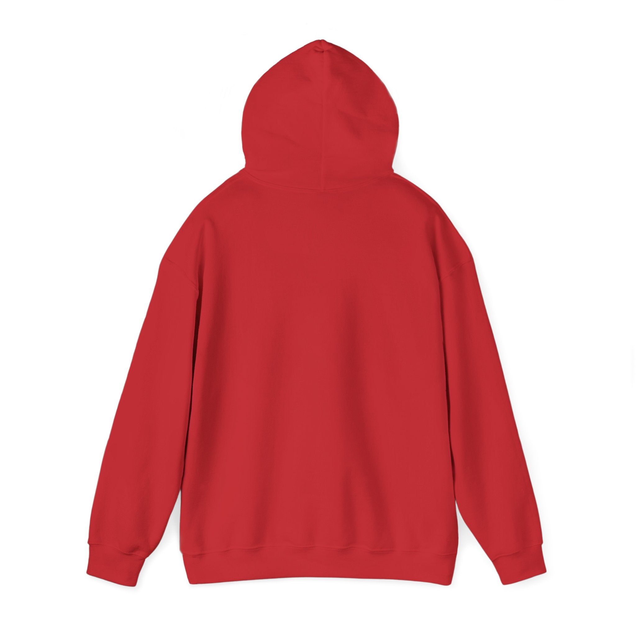 ZOMBIE x ANICHUB PULLOVER